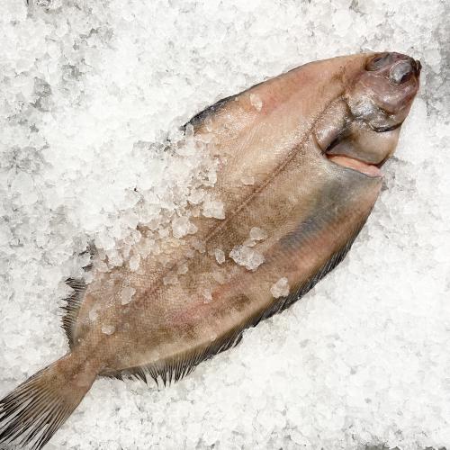 Bild på Rödtunga- hel