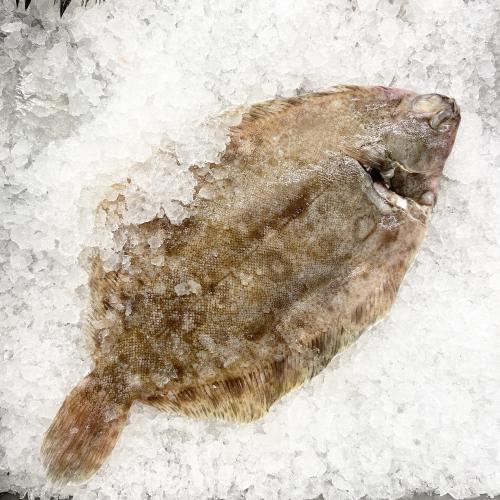 Bild på Bergtunga- hel