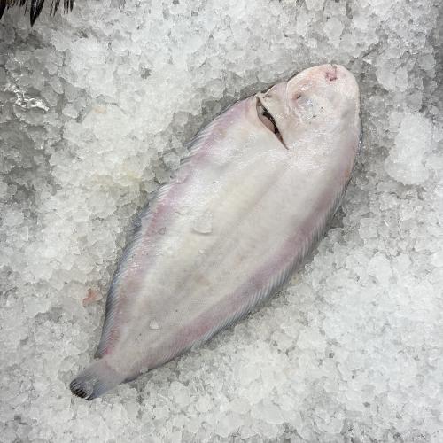 Bild på Sjötunga- hel