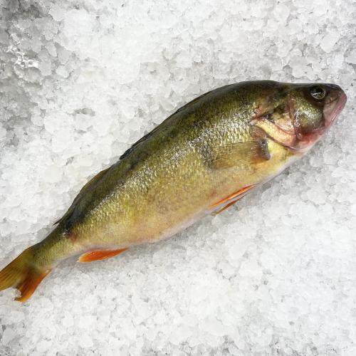 Bild på Abborre- hel