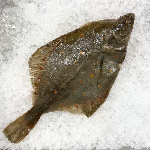 Bild på Rödspätta- hel