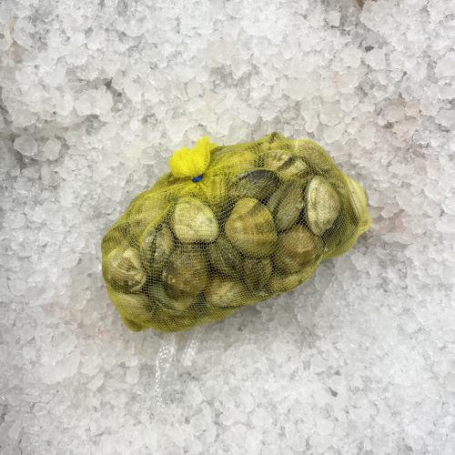 Bild på Vongolemusslor