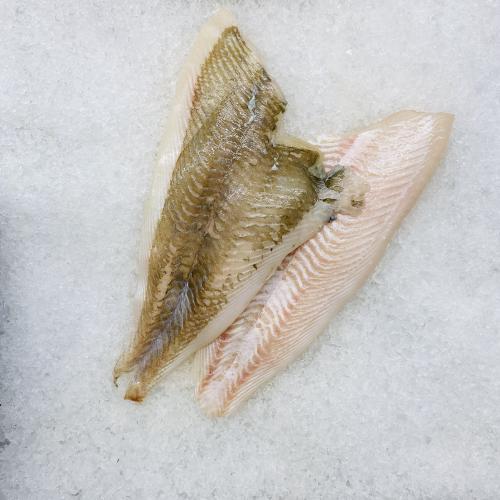 Bild på Rödspätta- filé