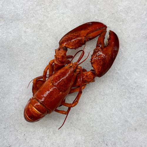 Bild på Hummer Kanada