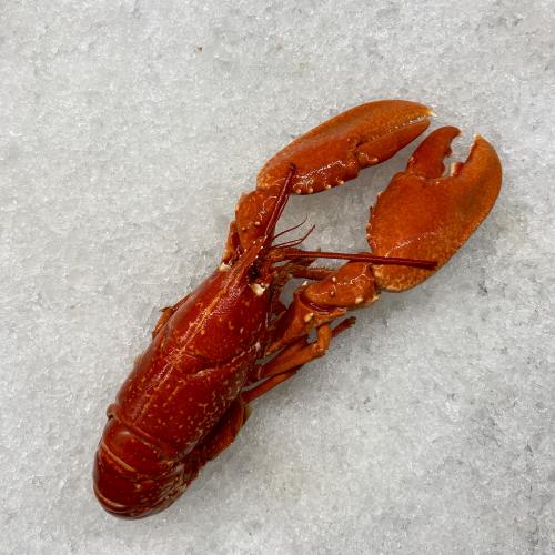 Bild på Hummer Irland