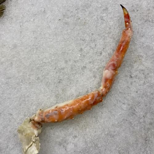 Bild på King crab leg